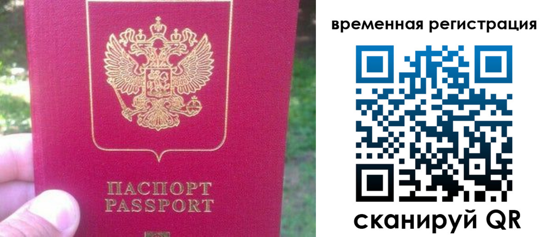 временная регистрация для школы в Тосно